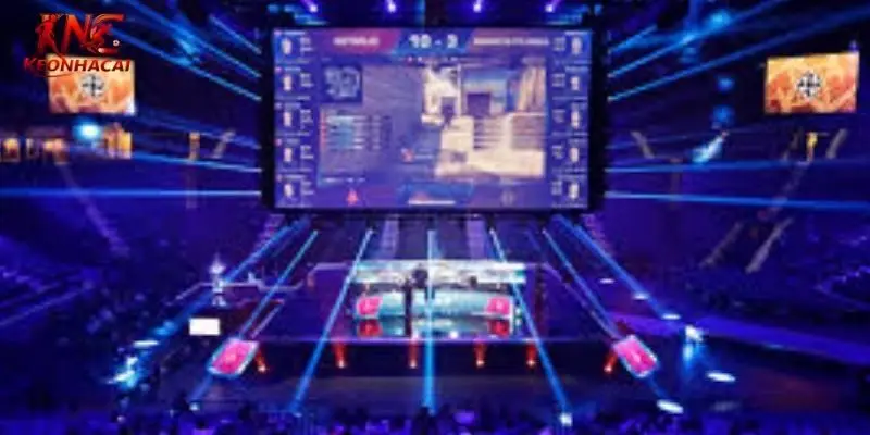 Chiến thuật cá cược hiệu quả, thắng nhanh chóng