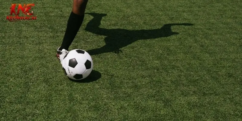 Phân tích bảng kèo đóng vai trò quan trọng