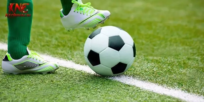 Quy trình tham gia cá cược tại trang