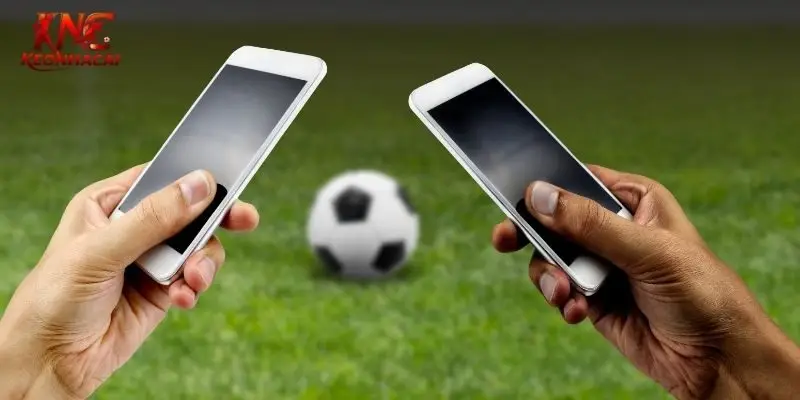 ty le ca cuoc bong da